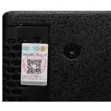 Loa full Domus DP 6120