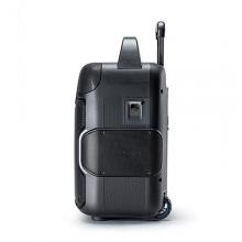 Loa kéo di động Alto Uber FX2