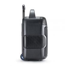 Loa kéo di động Alto Uber FX2