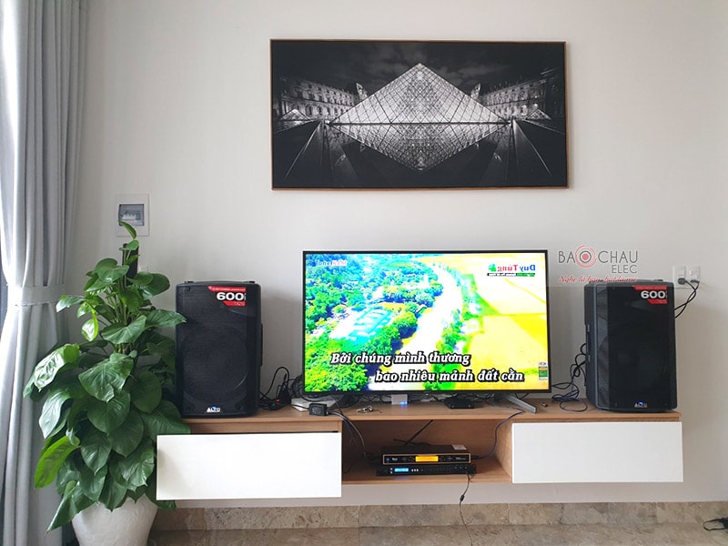 Dàn karaoke alto lắp đặt cho gia đình
