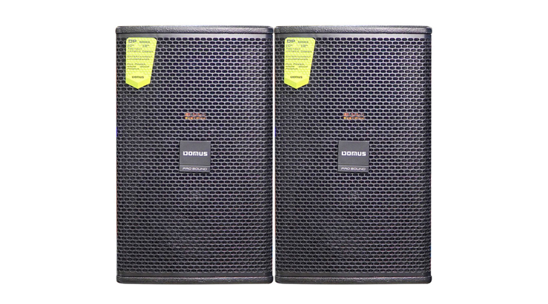 Loa karaoke Domus DP6100 MAX (Full bass 25cm - New 2022)