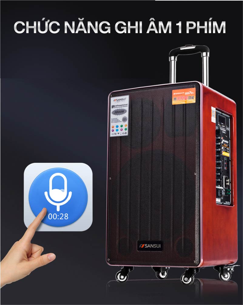 Loa kéo Sansui SG4-12